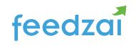 Fraud detection and security app Feedzai