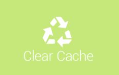 clear cache