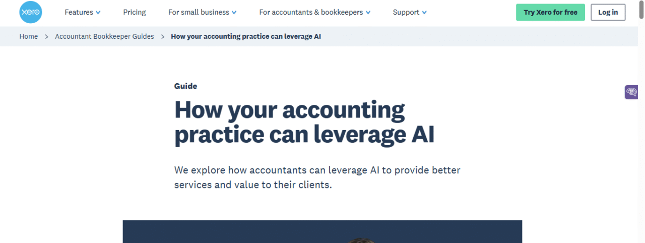 AI bookkeeping tool